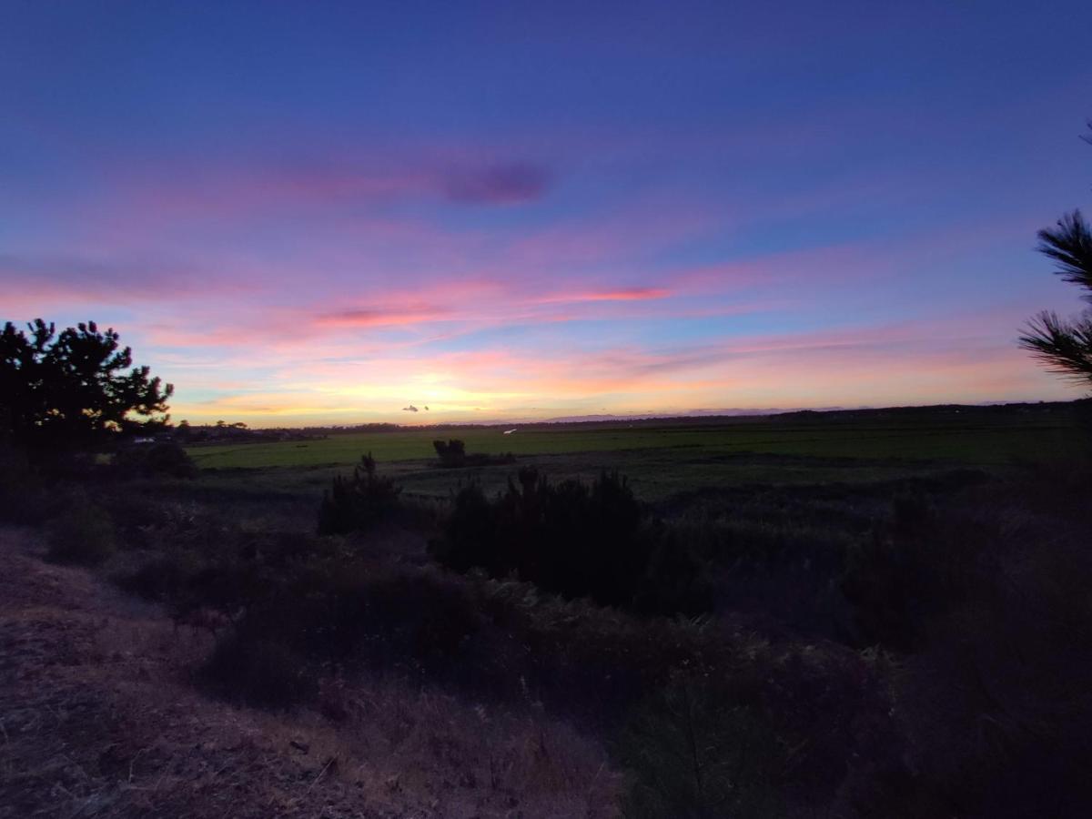 Casa Da Duna, Carvalhal, Comporta Carvalhal  Buitenkant foto